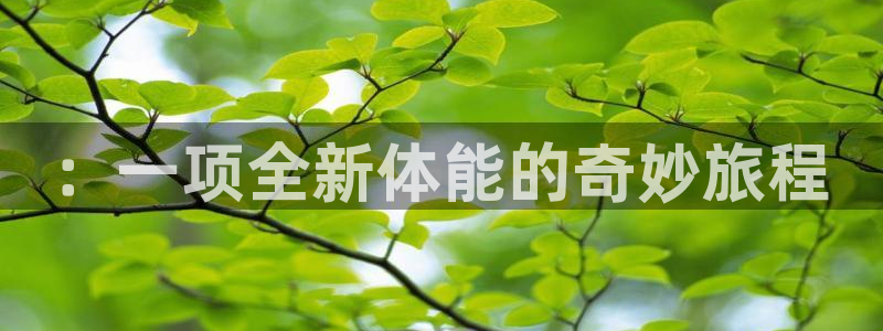 米兰体育官网下载软件：：一项全新体能的奇妙旅程