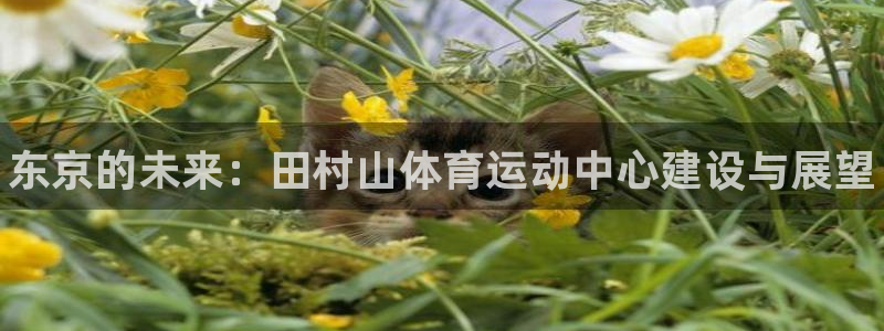 米兰体育官方正版app娱乐