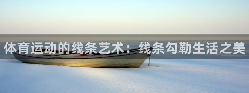米兰体育官网下载平台假的吗是真的吗：体育运动的线条艺术：线条