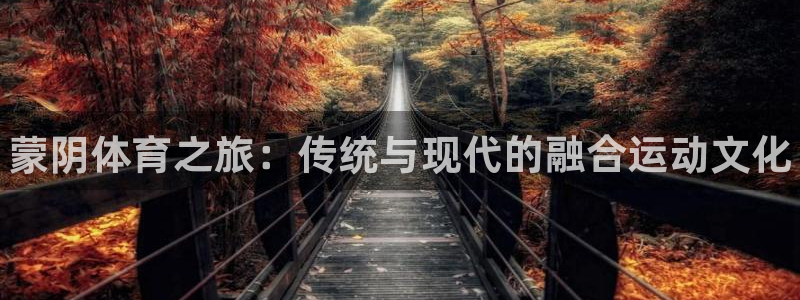 米兰体育官方正版app娱乐网站：蒙阴体育之旅：传统与现代的融