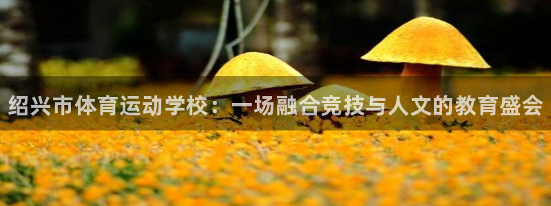 米兰体育官网下载开户：绍兴市体育运动学校：一场融合竞技与人文