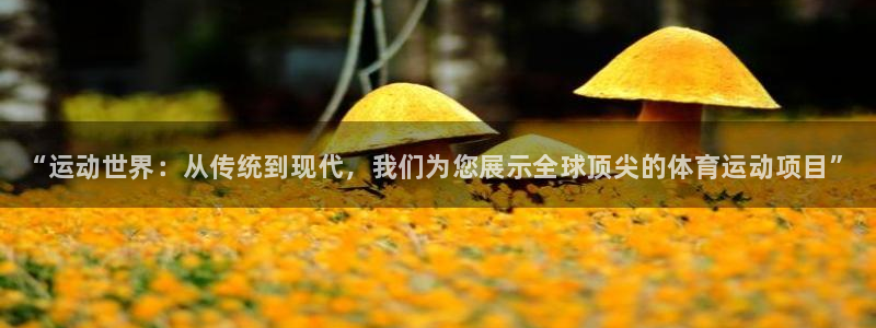 米兰体育官方正版app娱乐下载：“运动世界：从传统到现代，我