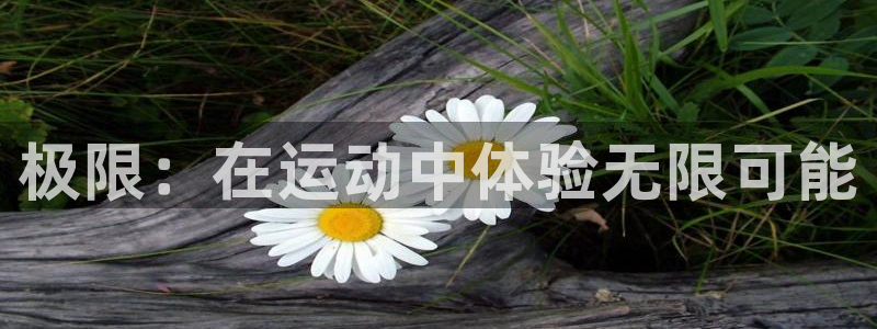 米兰体育官方正版app集团官网网址