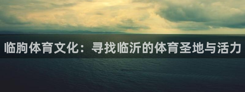 米兰体育官方正版app娱乐40996：临朐体育文化：寻找临沂