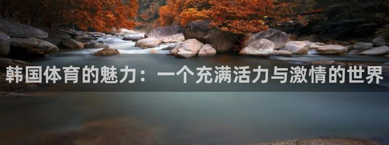 米兰体育官方正版app官网：韩国体育的魅力：一个充满