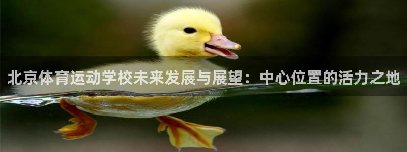 米兰体育官网下载：北京体育运动学校未来发展与展望：中