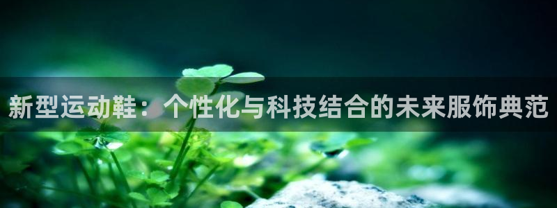 米兰体育官方正版app娱乐下载：新型运动鞋：个性化与