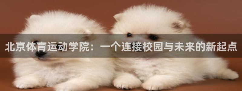 米兰体育官网下载平台：北京体育运动学院：一个连接校园