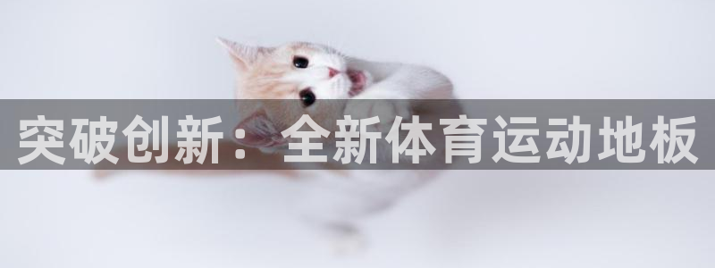 米兰体育官方正版app官网：突破创新：全新体育运动地