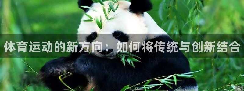米兰体育官方正版app娱乐网站