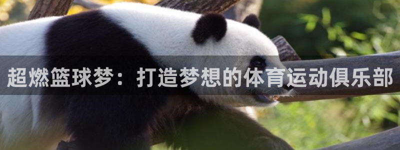 米兰体育官方正版app娱乐首页网站大全