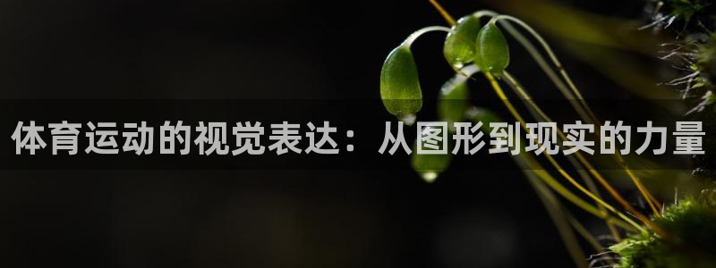米兰体育官网下载平台注册要钱吗安全吗：体育运动的视觉