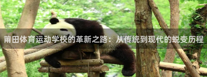 米兰体育官网下载是干嘛的公司：莆田体育运动学校的革新