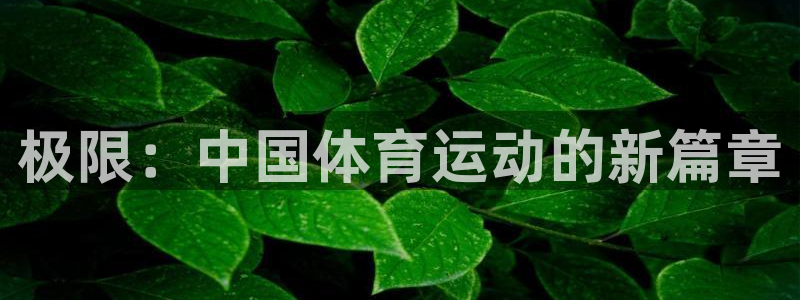 海南米兰体育官网下载
