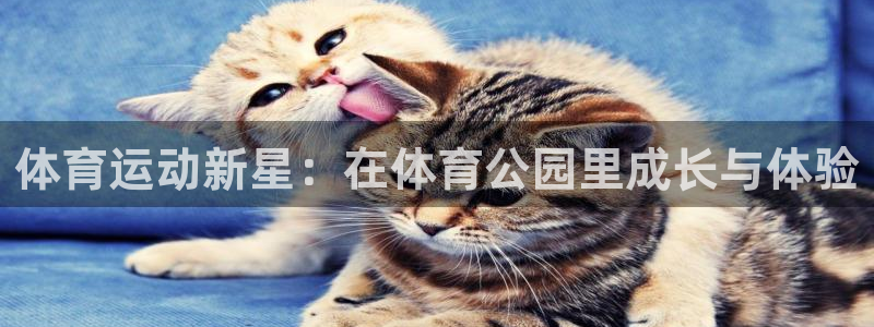 米兰体育官方正版app科技：体育运动新星：在体育公园里成长与
