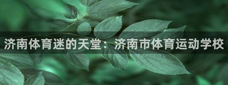 米兰体育官方正版app开户：济南体育迷的天堂：济南市体育运动
