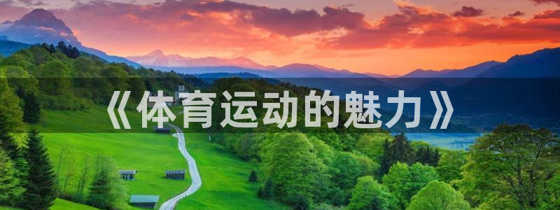 米兰体育官网下载平台注册流程视频：《体育运动的魅力》