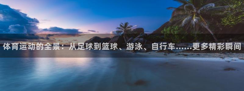 米兰体育官方正版app集团官网首页：体育运动的全景：