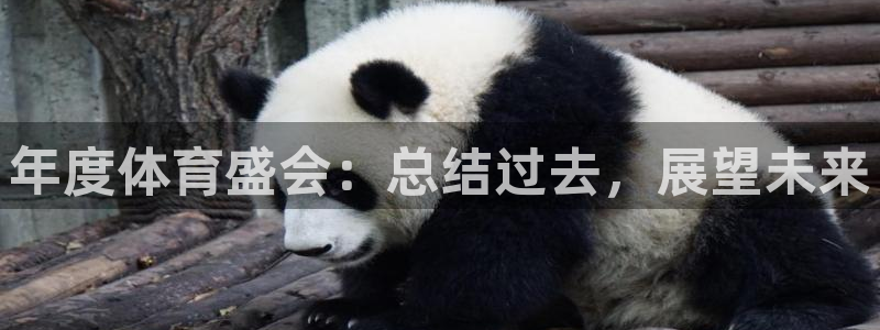 米兰体育官方正版app集团官网首页网址：年度体育盛会：总结过