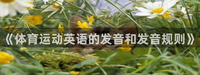 米兰体育官方正版app娱乐下载：《体育运动英语的发音和发音规