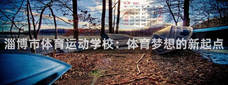 米兰体育官方正版app娱乐：淄博市体育运动学校：体育梦想的新