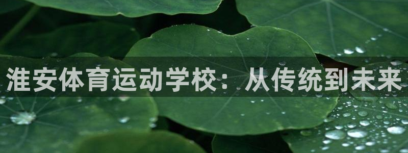 米兰体育钱被冻结了怎么办：淮安体育运