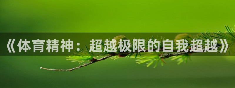 米兰体育最新登录：《体育精神：超越极限的自我超越》