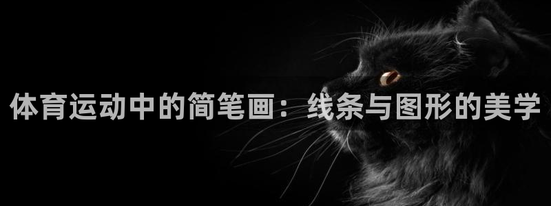 米兰体育登录入口官网手机版：体育运动中的简笔画：线条与图形的